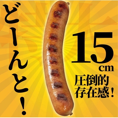 【 訳あり 】 ソーセージ 計 2kg (1kg × 2袋) 伝統の味ウインナーセット