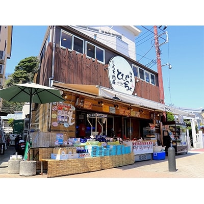 湘南江の島　しらす問屋とびっちょ　ファミリーお食事券　4名様分(大人2名・子供2名)