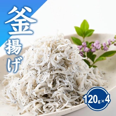 湘南江の島　しらす問屋とびっちょ　釜揚げしらすセット(120g×4個)