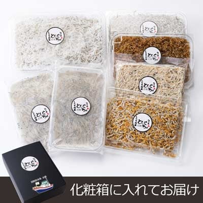 湘南江の島　しらす問屋とびっちょ　しらすづくし　セット