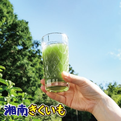 湘南ご当地青汁【湘南きくいも】きくいも青汁30包×2個、菊芋チップスのセット