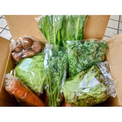 訳あり 旬のお野菜セット (種類おまかせ8品)