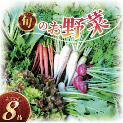 訳あり 旬のお野菜セット (種類おまかせ8品)
