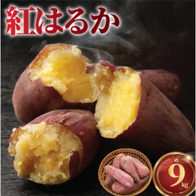 さつまいも 9kg 紅はるか 10月上旬発送 訳あり