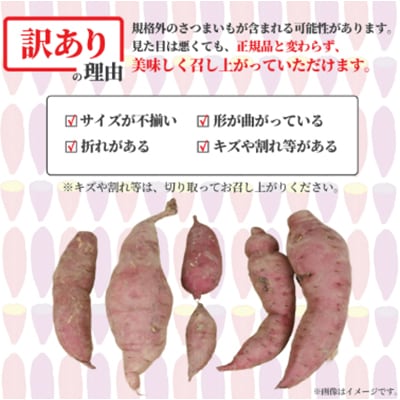 さつまいも 9kg 紅はるか 10月上旬発送 訳あり