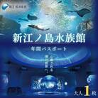 新江ノ島水族館　年間パスポート引換券　大人 1枚