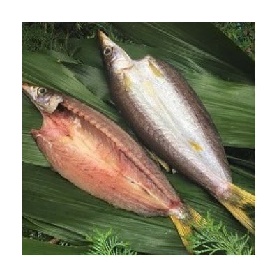 伝統200年の味　鈴伝ひもの6種詰め合わせ