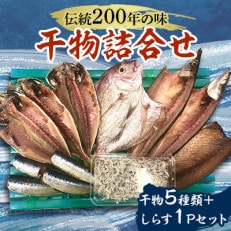 伝統200年の味 鈴伝ひものセット 干物5種類+しらす1パック