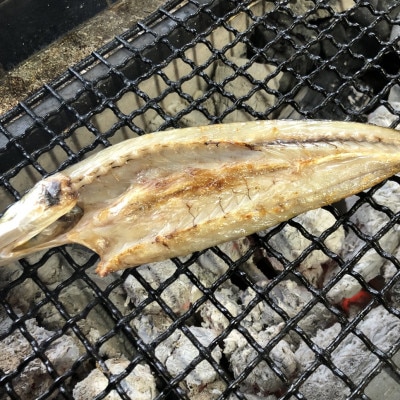 伝統200年の味 焼いてあるひものセット【炭火焼】5種