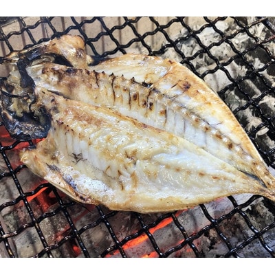 伝統200年の味 焼いてあるひものセット【炭火焼】5種