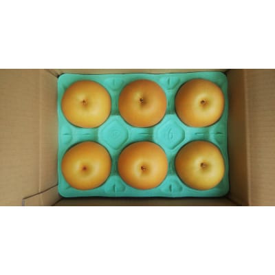 【樹上完熟】人気の新品種　あきづき1家族分(3kg:5～8個)
