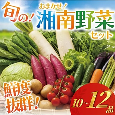 旬の湘南野菜おまかせセット　さとふる便