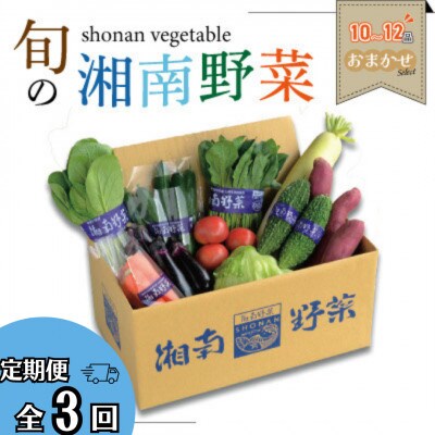 【毎月定期便】旬の湘南野菜おまかせセット　10～12品全3回