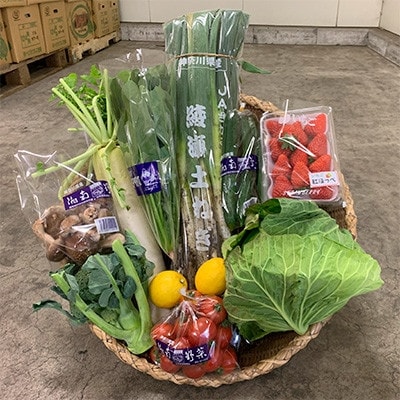 【毎月定期便】旬の湘南野菜おまかせセット　10～12品全3回