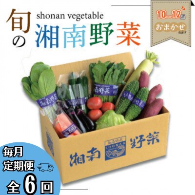 【毎月定期便】【2025年1月までの受付】旬の湘南野菜おまかせセット　10～12品全6回