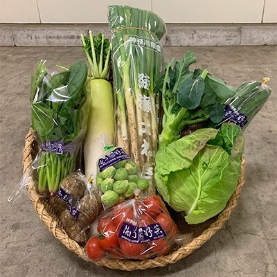 【毎月定期便】【2025年1月までの受付】旬の湘南野菜おまかせセット　10～12品全6回