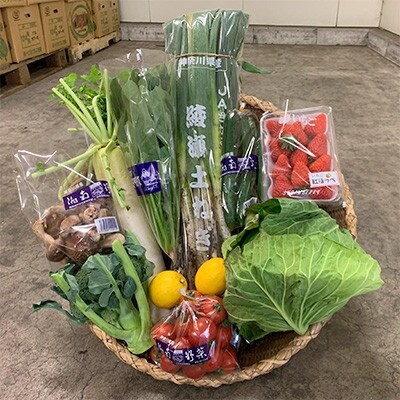 【毎月定期便】【2025年1月までの受付】旬の湘南野菜おまかせセット　10～12品全6回