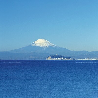 【毎月定期便】【2025年1月までの受付】旬の湘南野菜おまかせセット　10～12品全6回