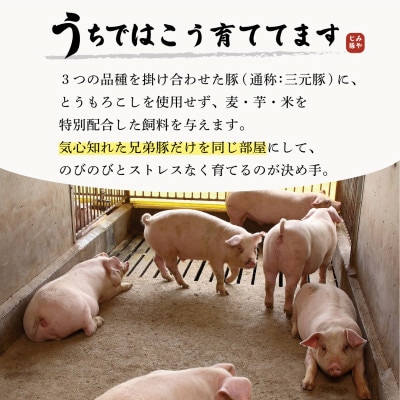 希少ブランド豚『みやじ豚 焼肉用セット バラ・モモ(約900g)』(冷蔵・生肉)
