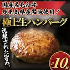 国産黒毛和牛と鹿児島県産黒豚の生ハンバーグ計10個
