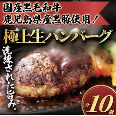 国産黒毛和牛と鹿児島県産黒豚の生ハンバーグ計10個