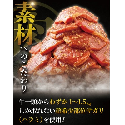 ハラミ(サガリ)タレ漬け 計3.1kg以上 (約450g×7パック) 神奈川県 藤沢市