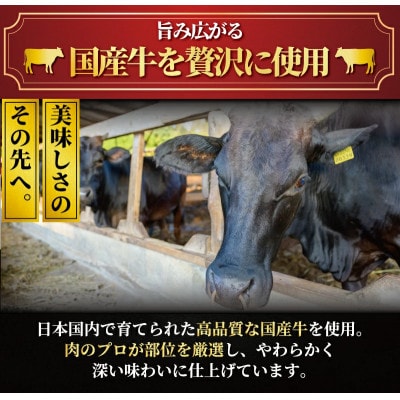 【訳あり】【老舗ステーキ店 監修】国産牛たたき 計500g以上(2～4ブロック)