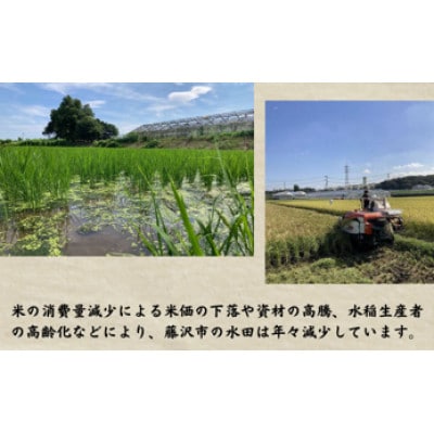 【藤沢産お米で造った純米酒】藤田熊醸720ml　1本