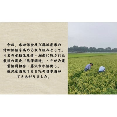 【藤沢産お米で造った純米酒】藤田熊醸720ml　1本