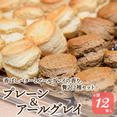 紅茶専門店ティー・イソブチカンパニーの自家製スコーン2種セット(プレーン6個&アールグレイ6個)
