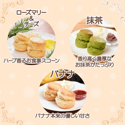 紅茶専門店ティー・イソブチカンパニーのスコーン6種食べ比べ(6種12個入)コンプリートセット