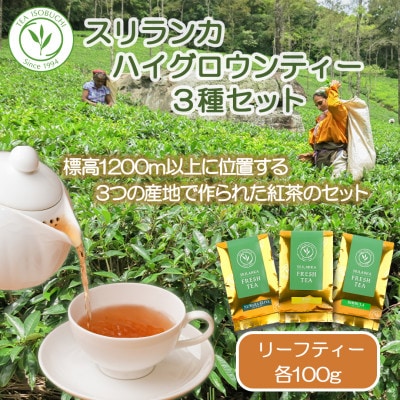 紅茶専門店ティー・イソブチカンパニー スリランカフレッシュティー ハイグロウンティー3種セット