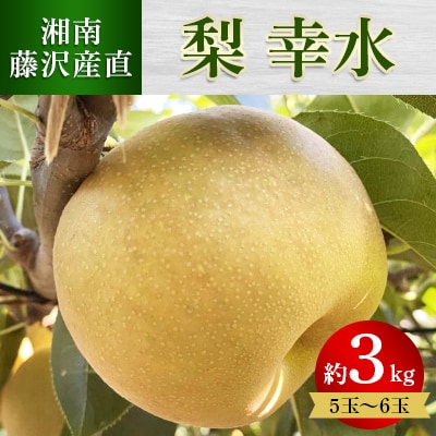 先行受付 幸水 大玉 約3kg(約500g×6玉 又は 約600g×5玉)【8月下旬頃発送予定】