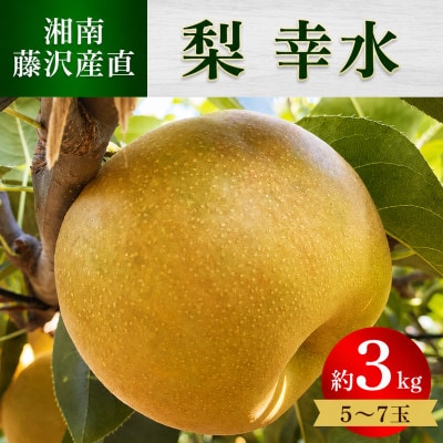 【先行受付】幸水 大玉 約3kg(5～7玉)　大人気の梨【8月中旬～下旬頃発送予定】数量限定
