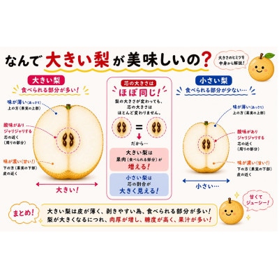 【先行受付】幸水 大玉 約3kg(5～7玉)　大人気の梨【8月中旬～下旬頃発送予定】数量限定