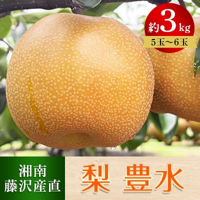 【湘南 藤沢産直】豊水3kg(約500g×6個又は約600g×5個入) 大きめで食べ応え抜群