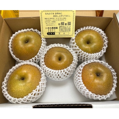 【湘南 藤沢産直】豊水3kg(約500g×6個又は約600g×5個入) 大きめで食べ応え抜群