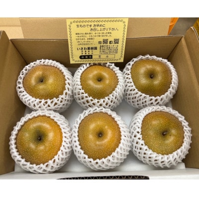 【湘南 藤沢産直】豊水3kg(約500g×6個又は約600g×5個入) 大きめで食べ応え抜群