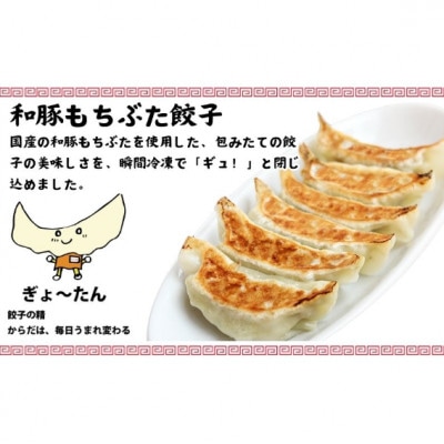 餃子60個　チャーハン2食　セット
