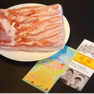 藤沢ブランド『みやじ豚』使用の肉汁飛び出す『みやじ豚の金ぎょうざ』(ニンニク入り特製ぎょうざ)