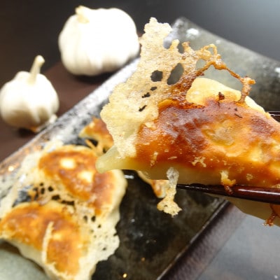 藤沢ブランド『みやじ豚』使用の肉汁飛び出す『みやじ豚の金ぎょうざ』(ニンニク入り特製ぎょうざ)