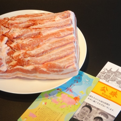 藤沢ブランド『みやじ豚』使用の肉汁飛び出し『みやじ豚の金ぎょうざ40個』(ニンニク入り特製ぎょうざ)
