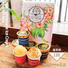 Hilo Homemade Ice Cream 手作りプレミアムアイスクリーム 季節おすすめ6個詰め