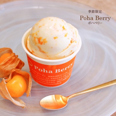 Hilo Homemade Ice Cream 手作りプレミアムアイスクリーム 季節おすすめ6個詰め