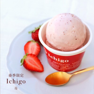 Hilo Homemade Ice Cream 手作りプレミアムアイスクリーム 季節おすすめ6個詰め