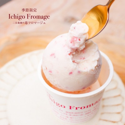 Hilo Homemade Ice Cream 手作りプレミアムアイスクリーム 季節おすすめ6個詰め