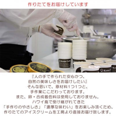 Hilo Homemade Ice Cream 手作りプレミアムアイスクリーム 季節おすすめ6個詰め