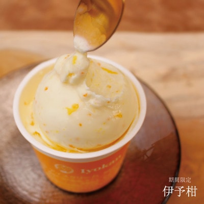 【2ヵ月毎定期便】手作りプレミアムアイスクリーム 季節おすすめ詰め合わせ<6個詰め>全3回