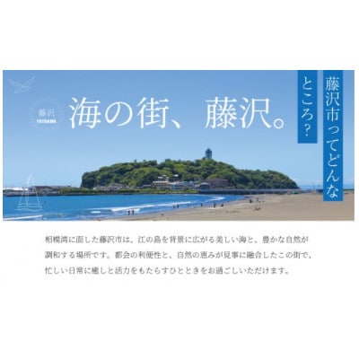 1切れ約130g!大きな漬け魚 西京漬け 4切