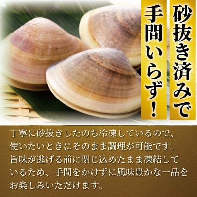 【かながわブランド認定品】大粒!湘南はまぐり 1.4kg(1袋あたり5~6個入り)